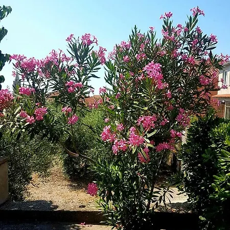 Апартаменты Ines *